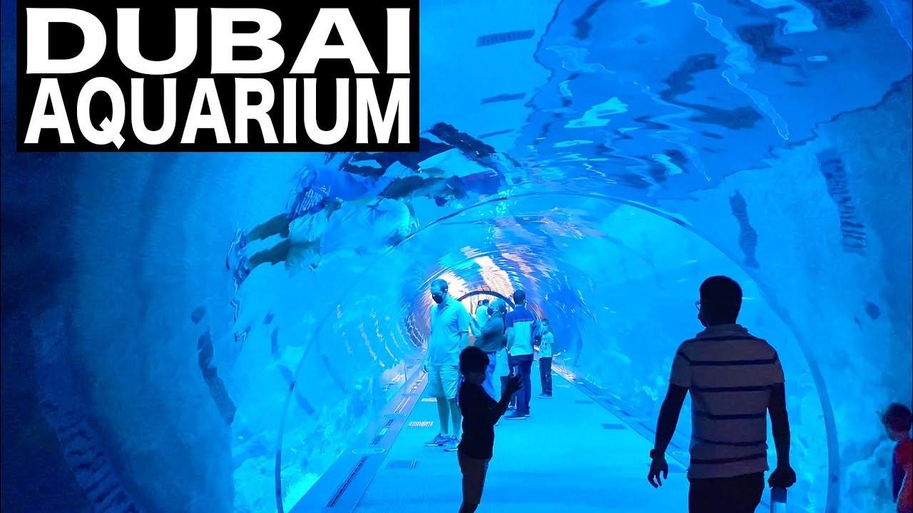 Dubai Aquarium 2